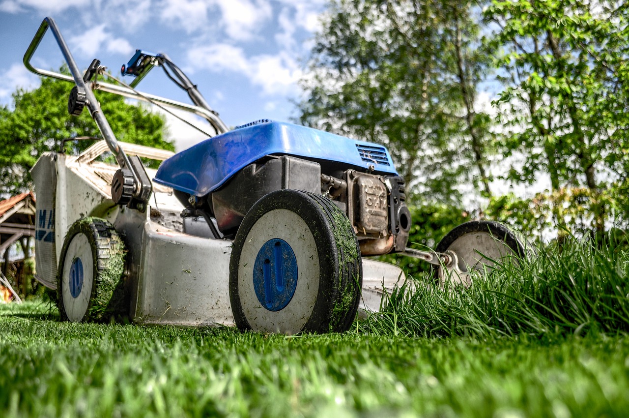 How to Create a Sustainable Garden that Conserves Water